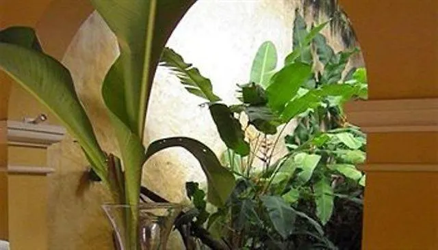 Hotel Casa Boutique Hortensia Cartagena